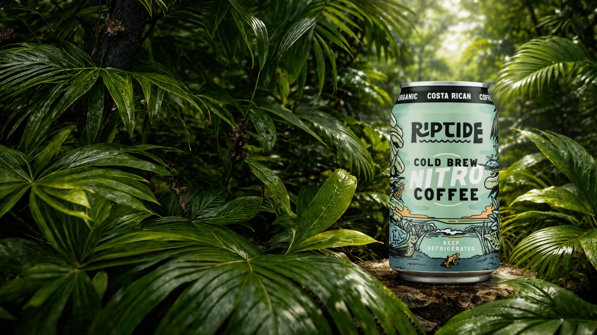 Costa Rican coffee landscape